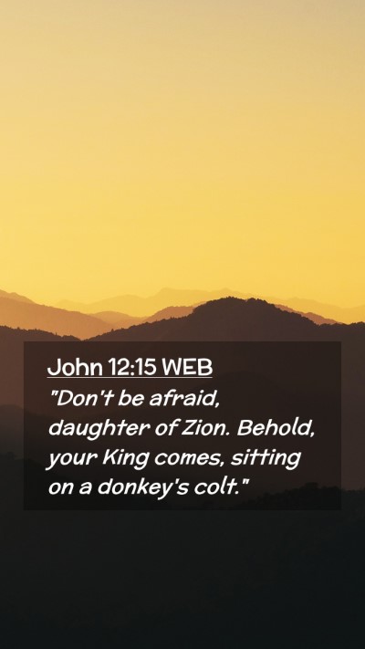 Picture 02 - John 12:15 WEB Mobile Phone Wallpaper - 