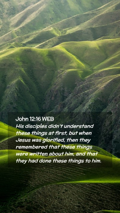 Picture 02 - John 12:16 WEB Mobile Phone Wallpaper - His disciples didn't understand these things at - Mobile Bible Verse Wallpaper