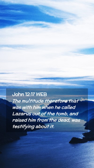 Picture 02 - John 12:17 WEB Mobile Phone Wallpaper - The multitude therefore that was with him when he - Mobile Bible Verse Wallpaper