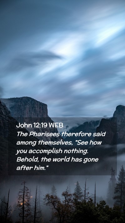 Picture 02 - John 12:19 WEB Mobile Phone Wallpaper - The Pharisees therefore said among themselves, - Mobile Bible Verse Wallpaper