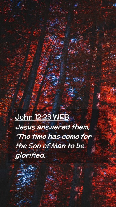 Picture 02 - John 12:23 WEB Mobile Phone Wallpaper - Jesus answered them, 