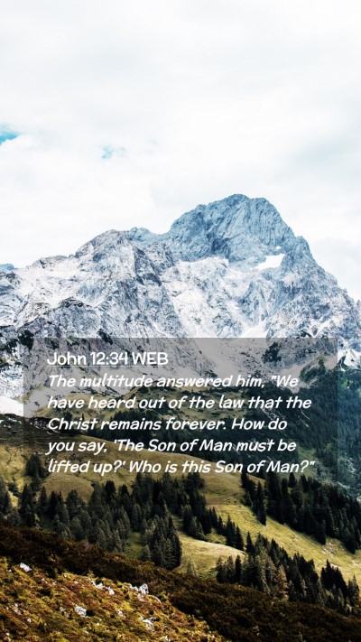 Picture 02 - John 12:34 WEB Mobile Phone Wallpaper - The multitude answered him, 