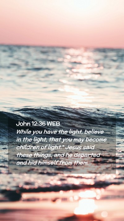 Picture 02 - John 12:36 WEB Mobile Phone Wallpaper - While you have the light, believe in the light, - Mobile Bible Verse Wallpaper