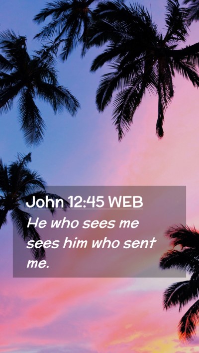 Picture 02 - John 12:45 WEB Mobile Phone Wallpaper - He who sees me sees him who sent - Mobile Bible Verse Wallpaper