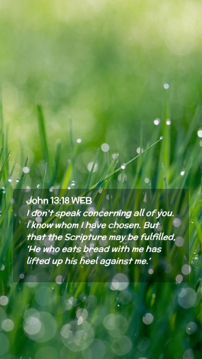 Picture 02 - John 13:18 WEB Mobile Phone Wallpaper - I don't speak concerning all of you. I know whom - Mobile Bible Verse Wallpaper