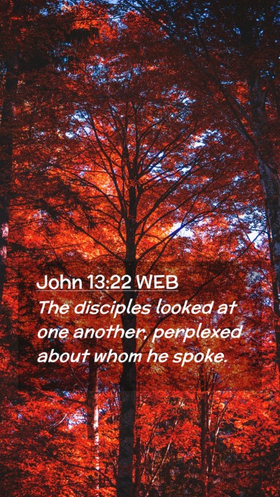 Picture 02 - John 13:22 WEB Mobile Phone Wallpaper - The disciples looked at one another, perplexed - Mobile Bible Verse Wallpaper