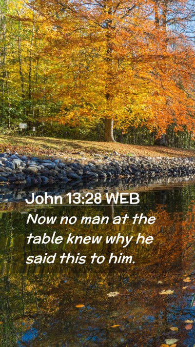 Picture 02 - John 13:28 WEB Mobile Phone Wallpaper - Now no man at the table knew why he said this to - Mobile Bible Verse Wallpaper