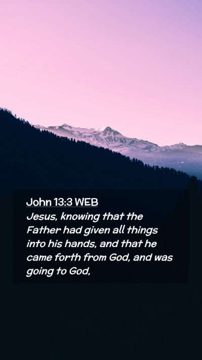 Picture 02 - John 13:3 WEB Mobile Phone Wallpaper - Jesus, knowing that the Father had given all - Mobile Bible Verse Wallpaper