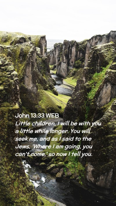 Picture 02 - John 13:33 WEB Mobile Phone Wallpaper - Little children, I will be with you a little - Mobile Bible Verse Wallpaper