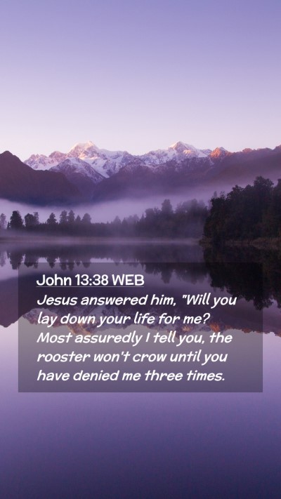 Picture 02 - John 13:38 WEB Mobile Phone Wallpaper - Jesus answered him, 
