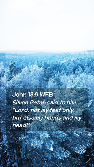 Picture 02 - John 13:9 WEB Mobile Phone Wallpaper - Simon Peter said to him, 