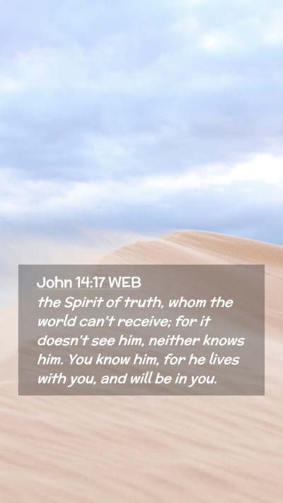 Picture 02 - John 14:17 WEB Mobile Phone Wallpaper - the Spirit of truth, whom the world can't - Mobile Bible Verse Wallpaper