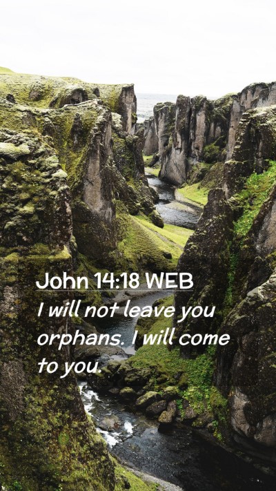 Picture 02 - John 14:18 WEB Mobile Phone Wallpaper - I will not leave you orphans. I will come to - Mobile Bible Verse Wallpaper
