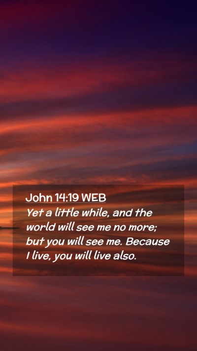 Picture 02 - John 14:19 WEB Mobile Phone Wallpaper - Yet a little while, and the world will see me no - Mobile Bible Verse Wallpaper