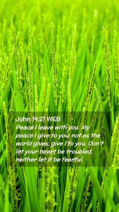 Picture 02 - John 14:27 WEB Mobile Phone Wallpaper - Peace I leave with you. My peace I give to you; - Mobile Bible Verse Wallpaper