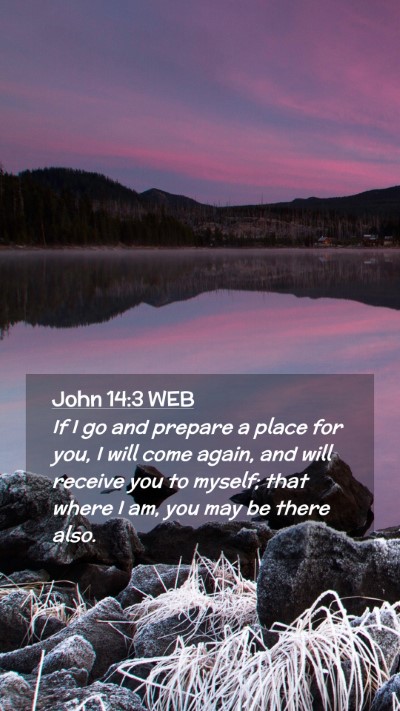 Picture 02 - John 14:3 WEB Mobile Phone Wallpaper - If I go and prepare a place for you, I will come - Mobile Bible Verse Wallpaper