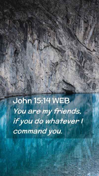 Picture 02 - John 15:14 WEB Mobile Phone Wallpaper - You are my friends, if you do whatever I command - Mobile Bible Verse Wallpaper