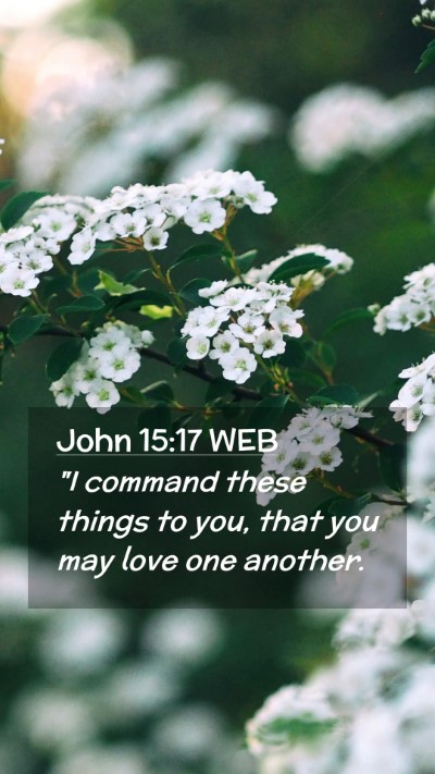 Picture 02 - John 15:17 WEB Mobile Phone Wallpaper - 