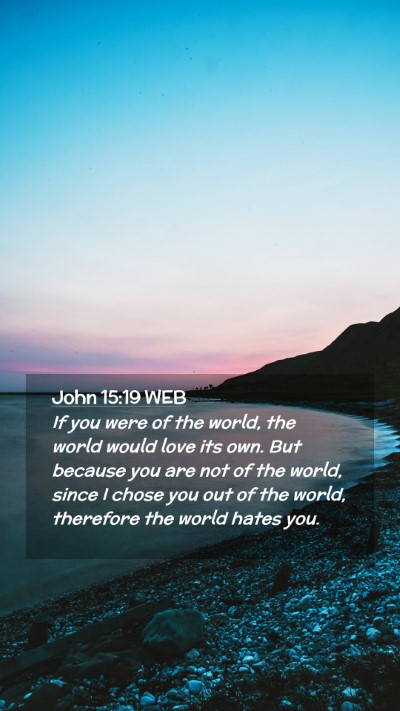 Picture 02 - John 15:19 WEB Mobile Phone Wallpaper - If you were of the world, the world would love - Mobile Bible Verse Wallpaper