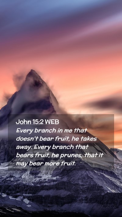 Picture 02 - John 15:2 WEB Mobile Phone Wallpaper - Every branch in me that doesn't bear fruit, he - Mobile Bible Verse Wallpaper