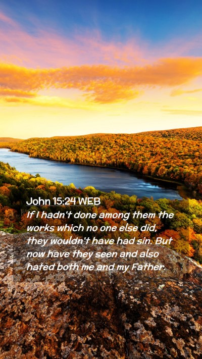 Picture 02 - John 15:24 WEB Mobile Phone Wallpaper - If I hadn't done among them the works which no - Mobile Bible Verse Wallpaper