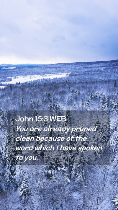 Picture 02 - John 15:3 WEB Mobile Phone Wallpaper - You are already pruned clean because of the word - Mobile Bible Verse Wallpaper
