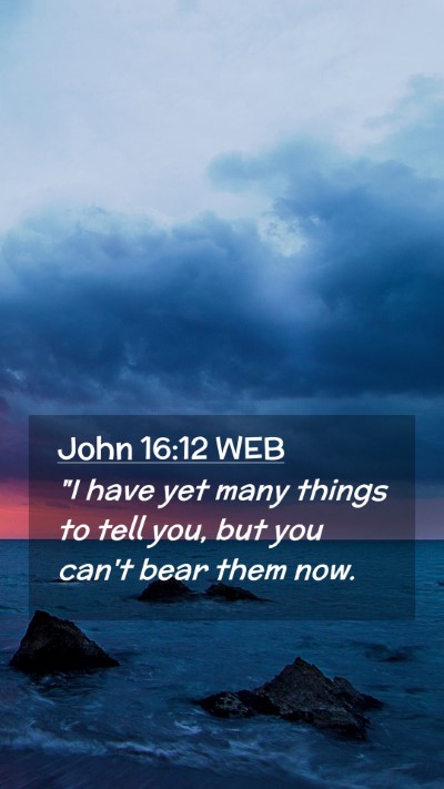 Picture 02 - John 16:12 WEB Mobile Phone Wallpaper - 