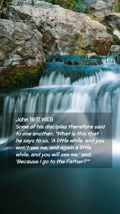 Picture 02 - John 16:17 WEB Mobile Phone Wallpaper - Some of his disciples therefore said to one - Mobile Bible Verse Wallpaper