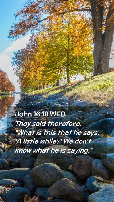 Picture 02 - John 16:18 WEB Mobile Phone Wallpaper - They said therefore, 