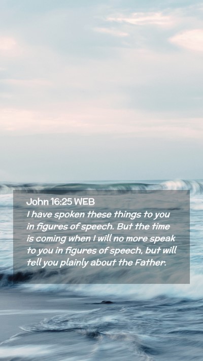 Picture 02 - John 16:25 WEB Mobile Phone Wallpaper - I have spoken these things to you in figures of - Mobile Bible Verse Wallpaper