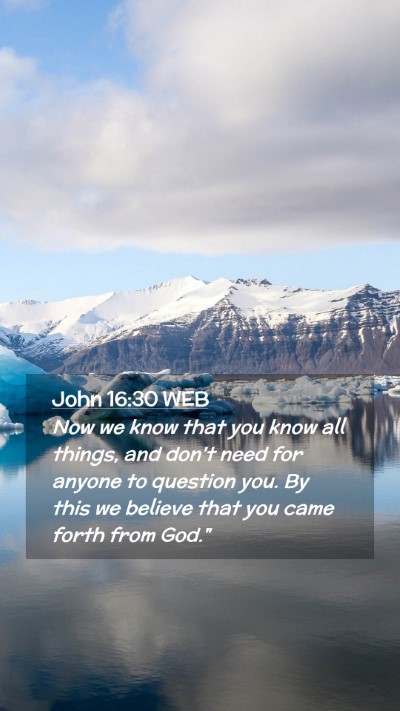 Picture 02 - John 16:30 WEB Mobile Phone Wallpaper - Now we know that you know all things, and don't - Mobile Bible Verse Wallpaper