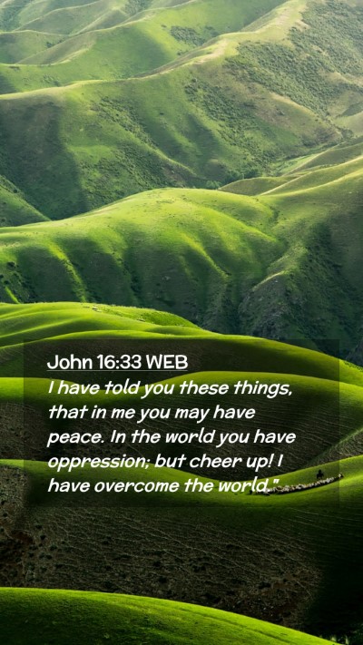 Picture 02 - John 16:33 WEB Mobile Phone Wallpaper - I have told you these things, that in me you may - Mobile Bible Verse Wallpaper