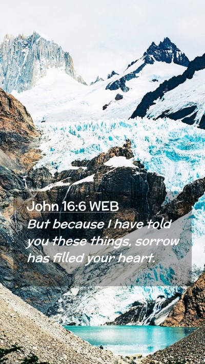 Picture 02 - John 16:6 WEB Mobile Phone Wallpaper - But because I have told you these things, sorrow - Mobile Bible Verse Wallpaper