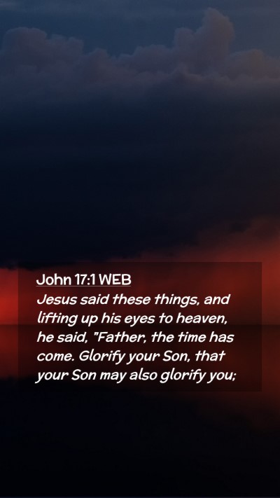 Picture 02 - John 17:1 WEB Mobile Phone Wallpaper - Jesus said these things, and lifting up his eyes - Mobile Bible Verse Wallpaper