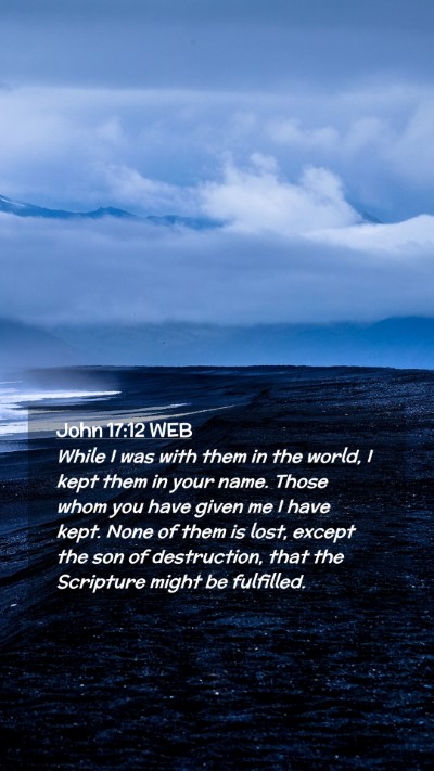 Picture 02 - John 17:12 WEB Mobile Phone Wallpaper - While I was with them in the world, I kept them - Mobile Bible Verse Wallpaper
