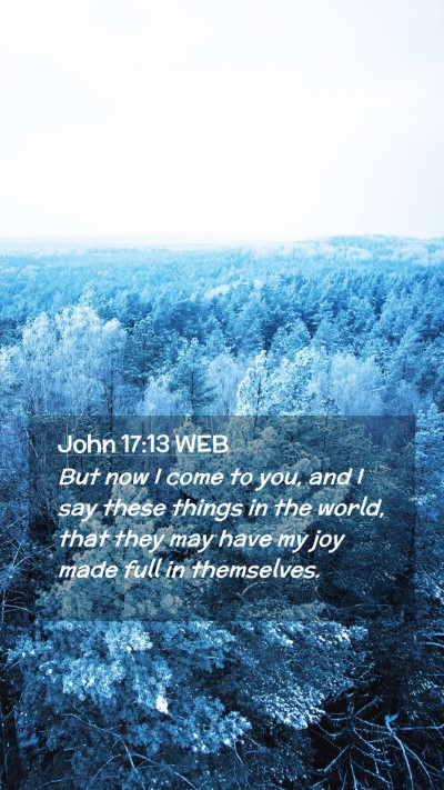 Picture 02 - John 17:13 WEB Mobile Phone Wallpaper - But now I come to you, and I say these things in - Mobile Bible Verse Wallpaper