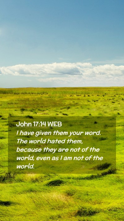 Picture 02 - John 17:14 WEB Mobile Phone Wallpaper - I have given them your word. The world hated - Mobile Bible Verse Wallpaper
