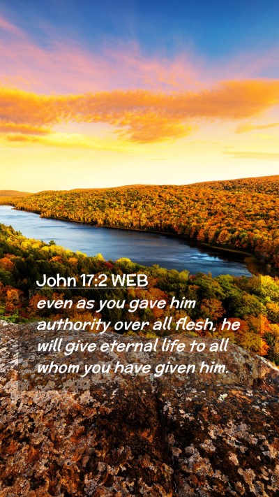 Picture 02 - John 17:2 WEB Mobile Phone Wallpaper - even as you gave him authority over all flesh, he - Mobile Bible Verse Wallpaper