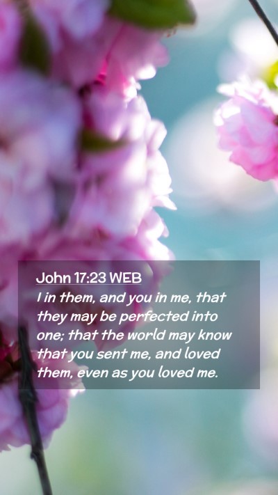 Picture 02 - John 17:23 WEB Mobile Phone Wallpaper - I in them, and you in me, that they may be - Mobile Bible Verse Wallpaper
