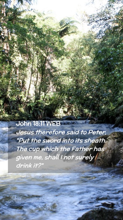 Picture 02 - John 18:11 WEB Mobile Phone Wallpaper - Jesus therefore said to Peter, 