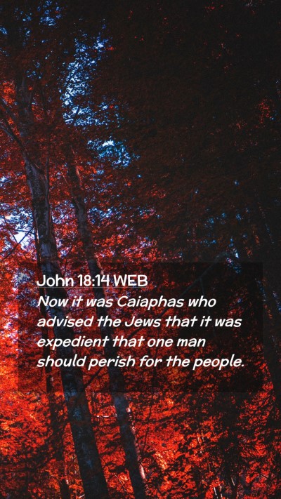 Picture 02 - John 18:14 WEB Mobile Phone Wallpaper - Now it was Caiaphas who advised the Jews that it - Mobile Bible Verse Wallpaper