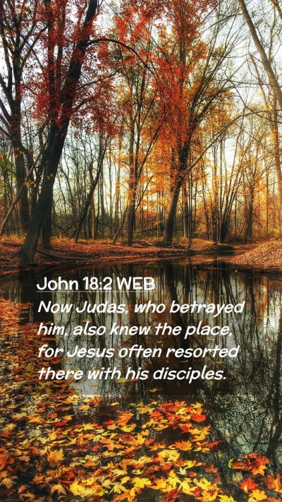 Picture 02 - John 18:2 WEB Mobile Phone Wallpaper - Now Judas, who betrayed him, also knew the place, - Mobile Bible Verse Wallpaper