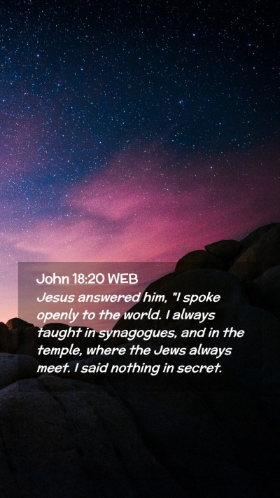 Picture 02 - John 18:20 WEB Mobile Phone Wallpaper - Jesus answered him, 
