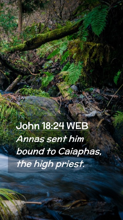 Picture 02 - John 18:24 WEB Mobile Phone Wallpaper - Annas sent him bound to Caiaphas, the high - Mobile Bible Verse Wallpaper
