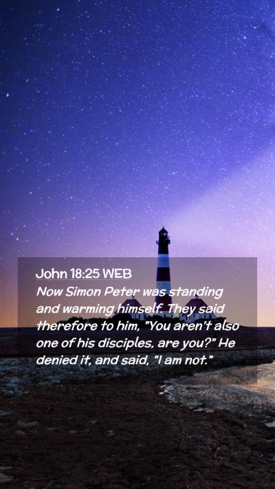 Picture 02 - John 18:25 WEB Mobile Phone Wallpaper - Now Simon Peter was standing and warming himself. - Mobile Bible Verse Wallpaper