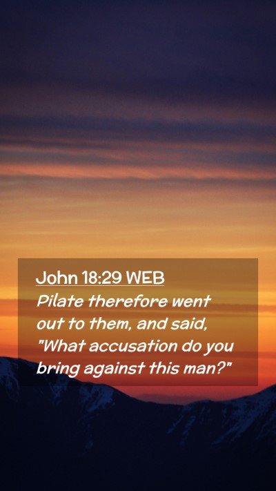 Picture 02 - John 18:29 WEB Mobile Phone Wallpaper - Pilate therefore went out to them, and said, - Mobile Bible Verse Wallpaper