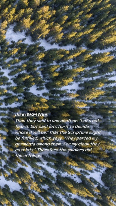 Picture 02 - John 19:24 WEB Mobile Phone Wallpaper - Then they said to one another, 