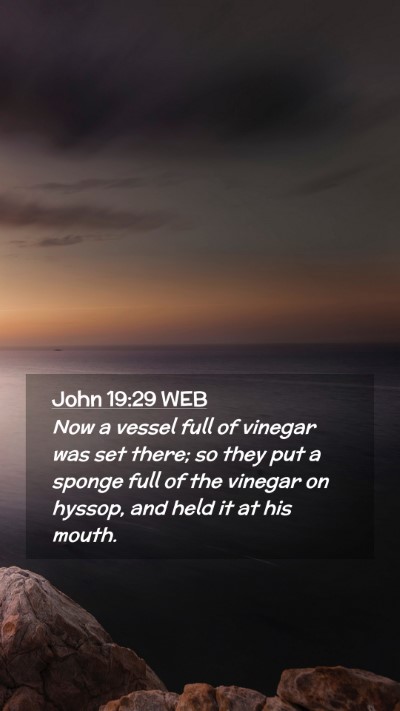 Picture 02 - John 19:29 WEB Mobile Phone Wallpaper - Now a vessel full of vinegar was set there; so - Mobile Bible Verse Wallpaper