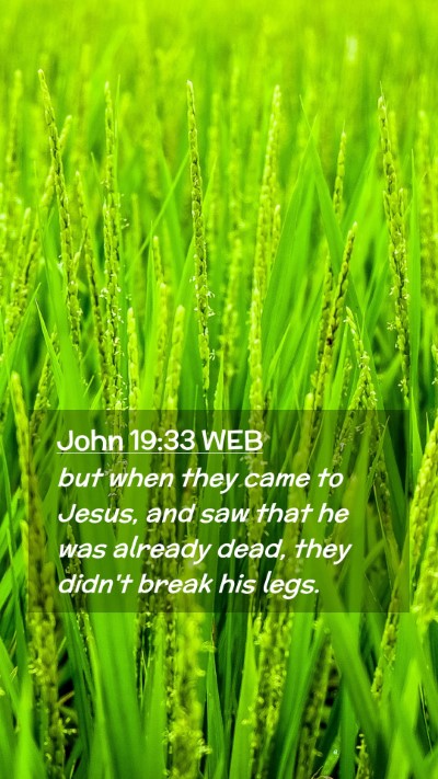 Picture 02 - John 19:33 WEB Mobile Phone Wallpaper - but when they came to Jesus, and saw that he was - Mobile Bible Verse Wallpaper