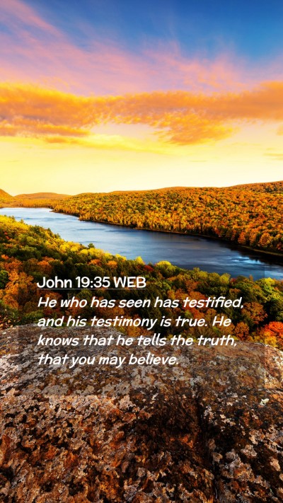Picture 02 - John 19:35 WEB Mobile Phone Wallpaper - He who has seen has testified, and his testimony - Mobile Bible Verse Wallpaper